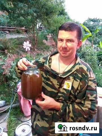 Мёд Сочи - изображение 1