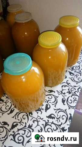 Мед Волгоград - изображение 1