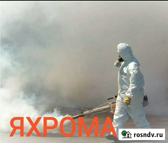 Уничтожение клещей комаров борщевика клопов Яхрома - изображение 1