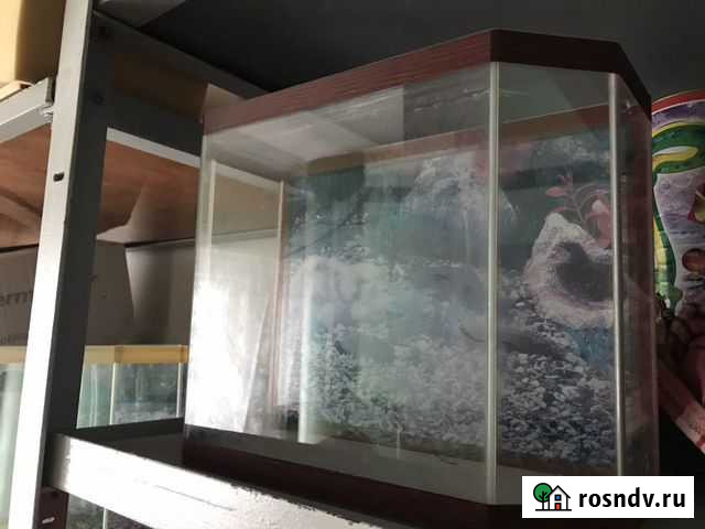 Аквариум Братск - изображение 1