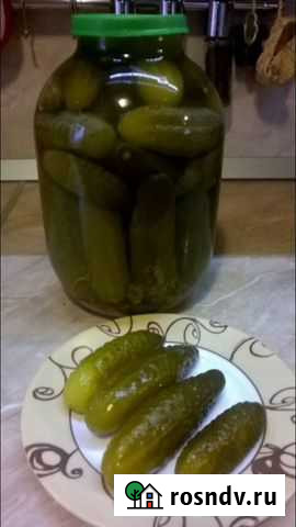 Огурцы солёные Великий Новгород - изображение 1