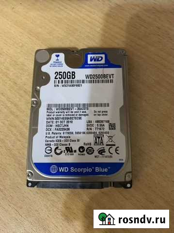 Жесткий диск Western Digital 250 Gb Самара - изображение 1