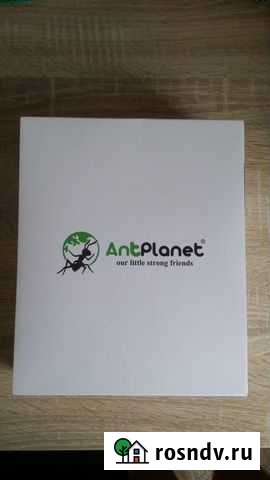 Муравьиная ферма Березники - изображение 1