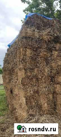 Сено Кизляр - изображение 1