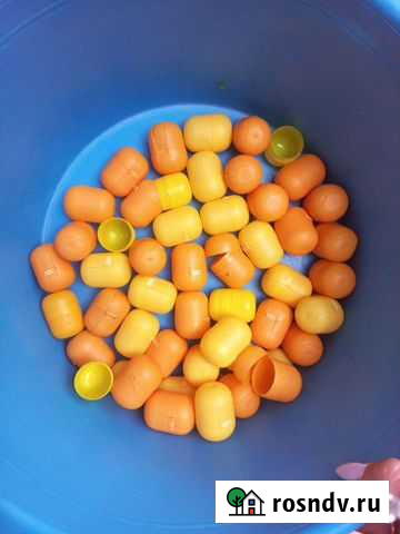 Капсулы от киндеров,скрепышей Биробиджан - изображение 1