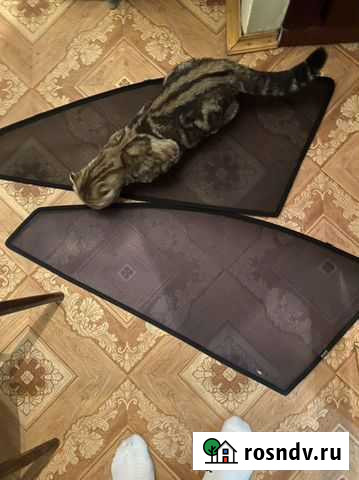 Каркасные шторки на Camry 2008-2011 год Новокузнецк - изображение 1