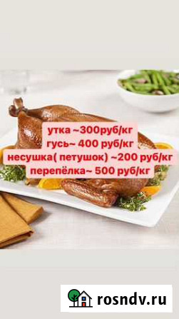Мясо домашней птицы Нежинка - изображение 1