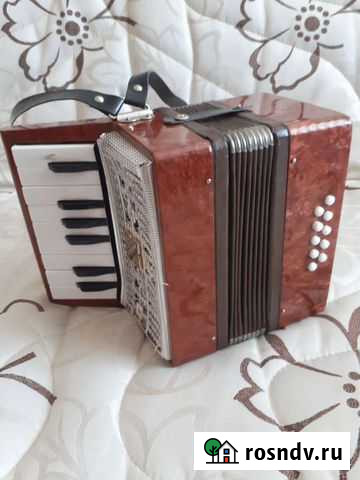 Детский аккордеон малыш Радужный - изображение 1