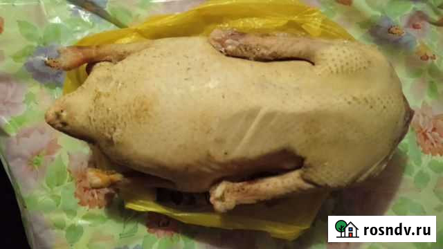 Мясо гуся Бийск - изображение 1