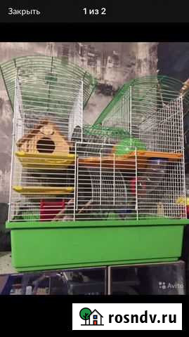 Клетка Серпухов - изображение 1