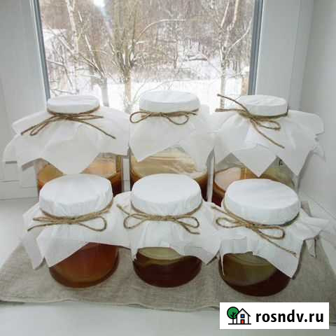 Чайный гриб Вологда - изображение 1