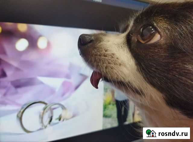 Видеопоздравления, видеоролики для мед. клиник Пенза - изображение 1