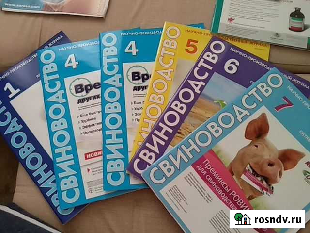 Журналы свиноводство 2013 Тула - изображение 1