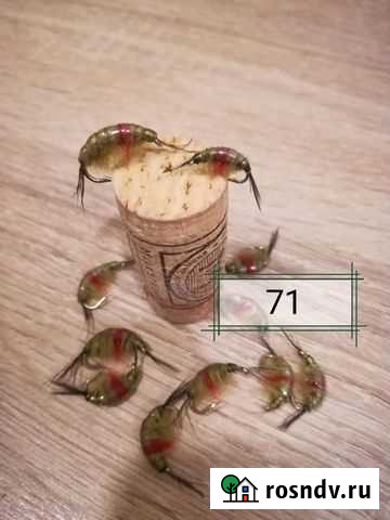 Мушки для нахлыста. Бокоплав. Мокрые мушки. Сухие Набережные Челны - изображение 1