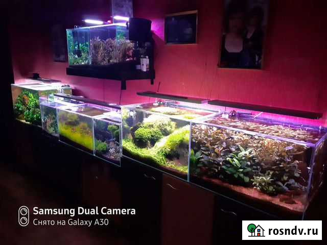 Лава вулканическая Зверево - изображение 1