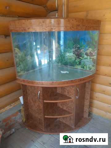 Аквариум Ижевск - изображение 1