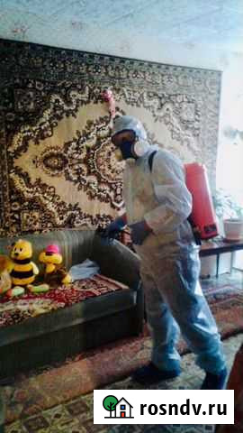 Уничтожение Клопов,Тараканов,Клещей,Блох и других Тамбов - изображение 1