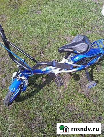 Велосипед детский Мучкапский - изображение 1