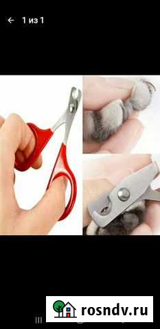 Ножницы.поводок Геленджик - изображение 1