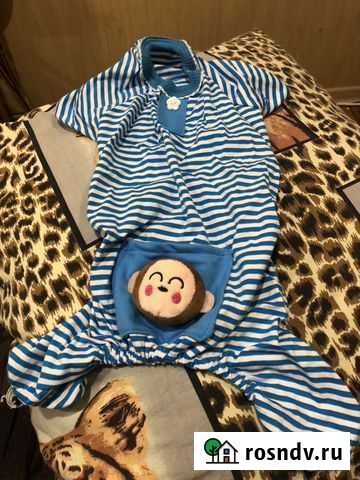 Одежда для собак Сочи - изображение 1