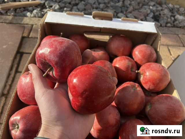 Яблоки «джарамин» Динская - изображение 1