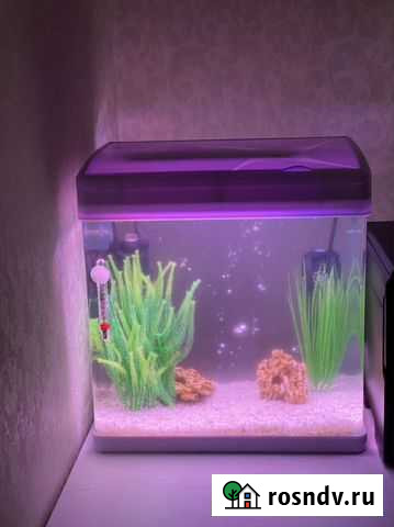 Аквариум Крымск - изображение 1