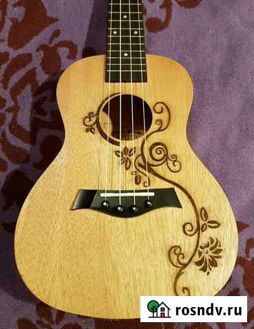 Укулеле концерт Ростов-на-Дону - изображение 1