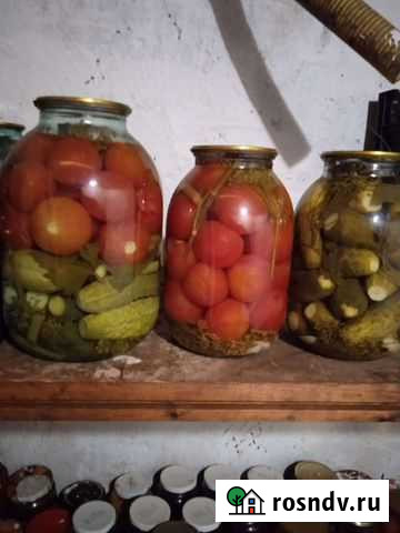 Помидоры и огурцы соленые Рязань - изображение 1