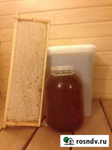 Мед Новый Уренгой - изображение 1