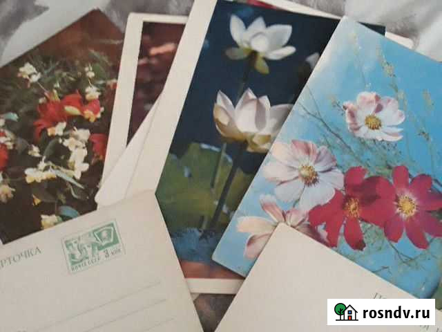 Карточки почтовые Кострома - изображение 1