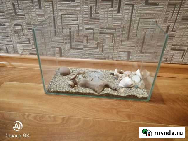 Аквариум не для рыбок Казань - изображение 1