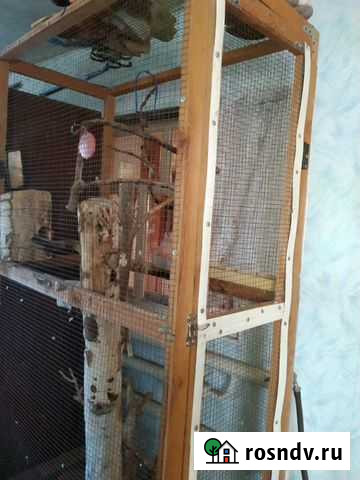 Вольер для попугаев Новоплатнировская - изображение 1