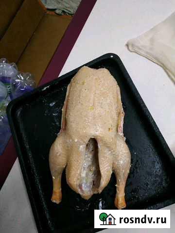 Мясо гуся Ейск - изображение 1