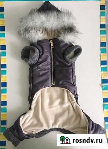 Пошив одежды для собак Омск - изображение 1