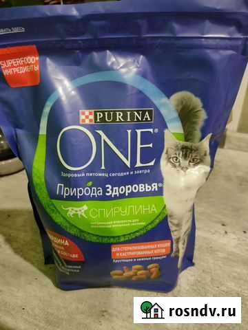 Корм для кошек новый Орехово-Зуево - изображение 1