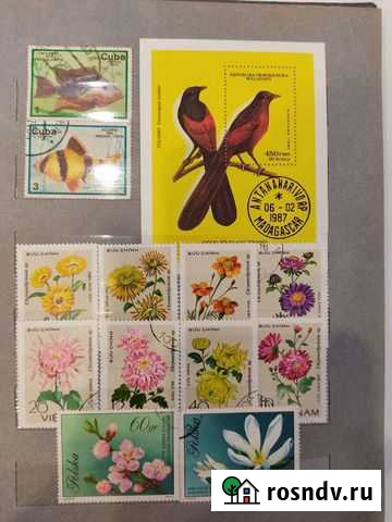 Марки флора Калининград - изображение 1