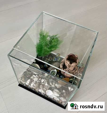 Аквариум Люберцы - изображение 1