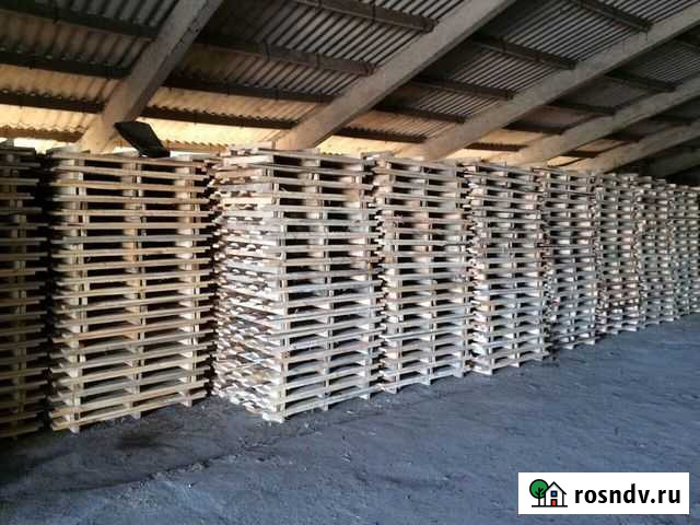 Потдон Курчатов - изображение 1