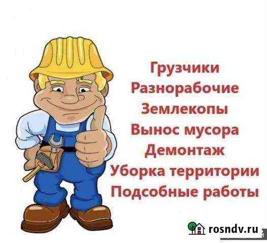 Грузчики, разнорабочий Елец
