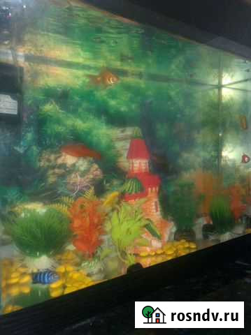 Аквариум Урус-Мартан - изображение 1