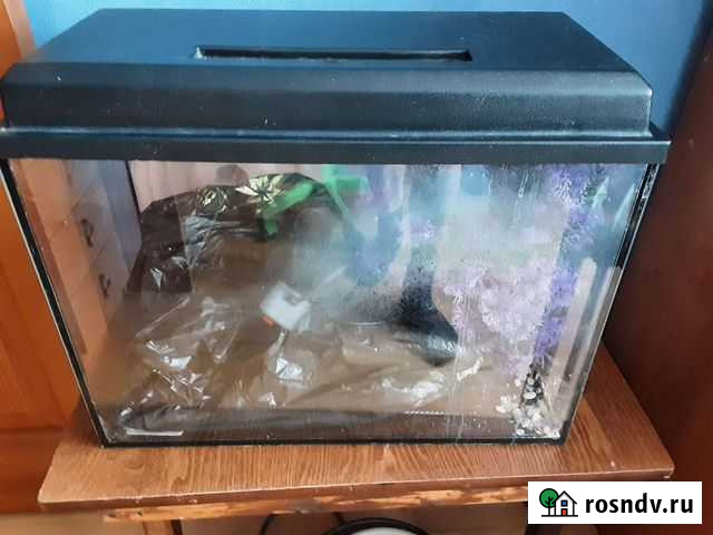 Аквариум Петропавловск-Камчатский - изображение 1