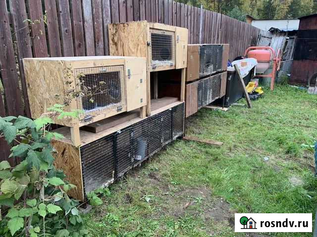 Продам клетки для кроликов Краснокамск - изображение 1