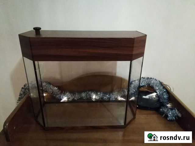 Аквариум Краснодар - изображение 1