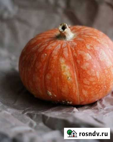 Тыква Волжский - изображение 1