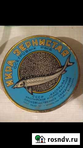 Банка Жестяная СССР, Икра черная гост-1955год, в Саратов - изображение 1