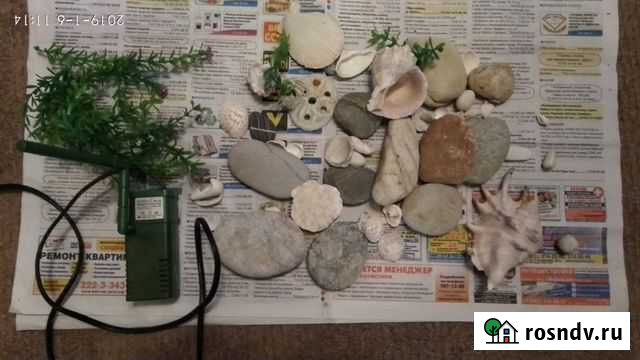 Камешки, ракушки, искусственные водоросли Екатеринбург - изображение 1