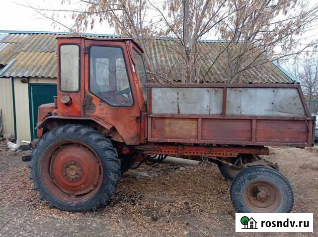 Трактор Т-16 Красный Кут - изображение 1