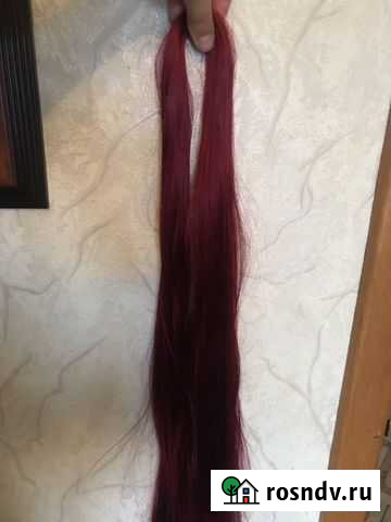 Канекалон Гатчина - изображение 1