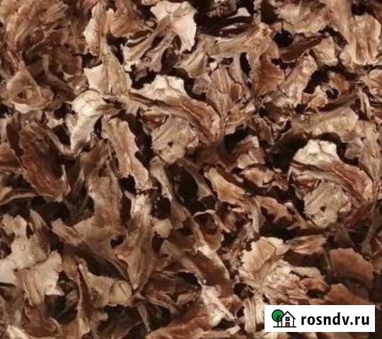 Грецкий орех перегородки Ярославль - изображение 1