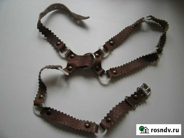 Шлейка для собаки на 5-6 кг Тула - изображение 1